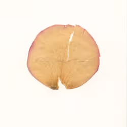 1049