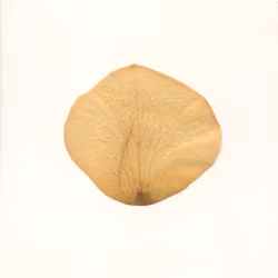 10010