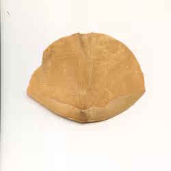 16179