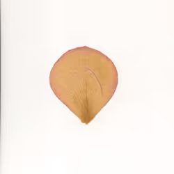 13200