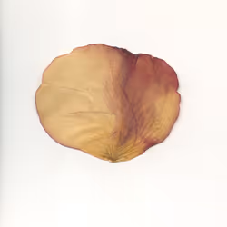 12072