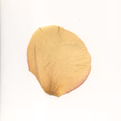 14145