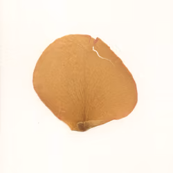 10176