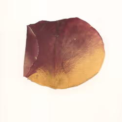 14080