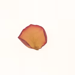 6093