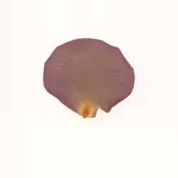 16093