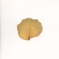 9046