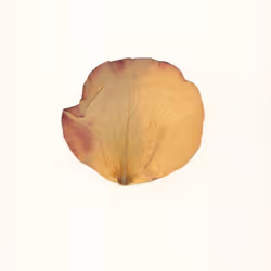 11012