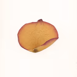 6013