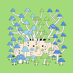 568