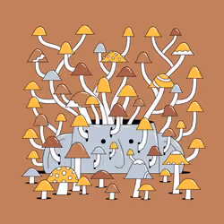 Headition #708