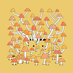 Headition #146