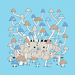 253