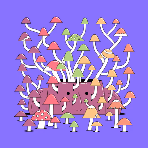 Headition #79