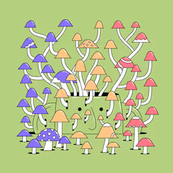 633