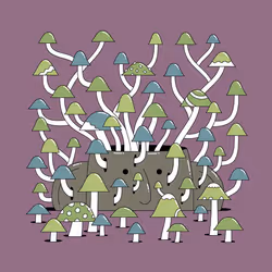 46
