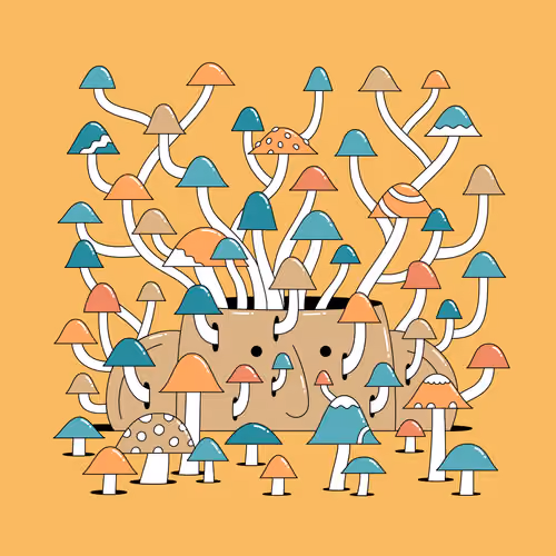 Headition #629