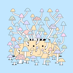 816