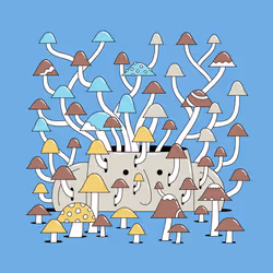 625