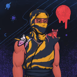 Tie Dye Ninja #891