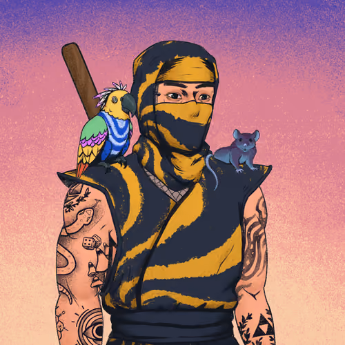Tie Dye Ninja #5360