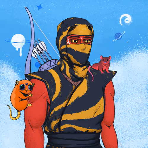 Tie Dye Ninjas