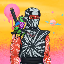 Tie Dye Ninja #5263
