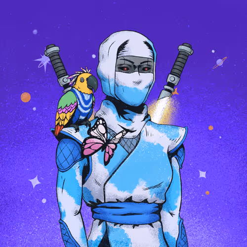 Tie Dye Ninja #1505