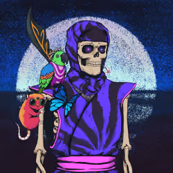 Tie Dye Ninja #3415