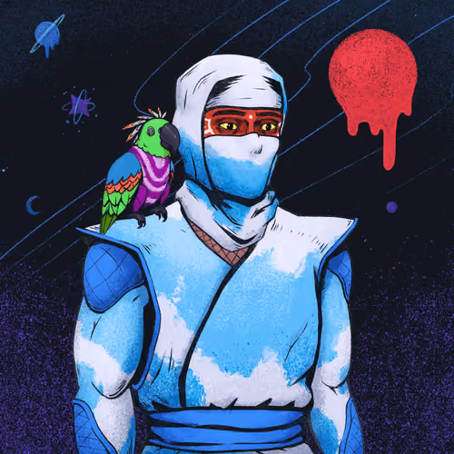 Tie Dye Ninja #1356