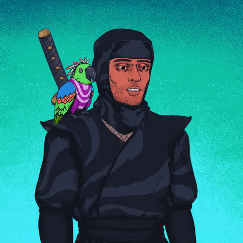 Tie Dye Ninjas