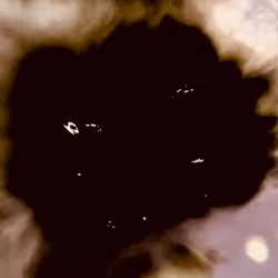 Edition 8 #1