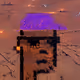 534