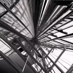 The Decentralize #709
