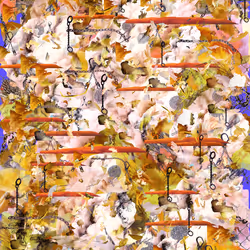 70