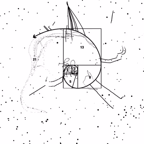 The Swarm: 1.618 by Yoshi Sodeoka