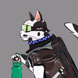 231