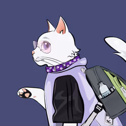 205