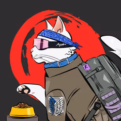34