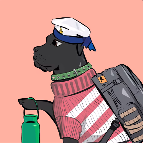 Ryoko Pets #78