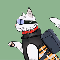223