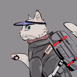 225