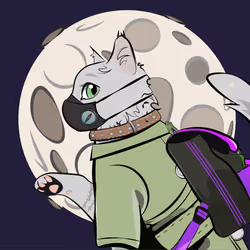 70