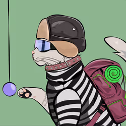 233