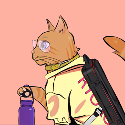 153
