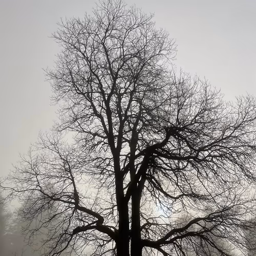 Life Lines V3