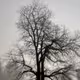 LIFE LINES V3