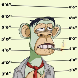 Hungover Ape #989