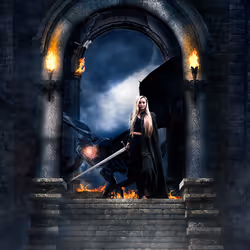 项目媒体占位符