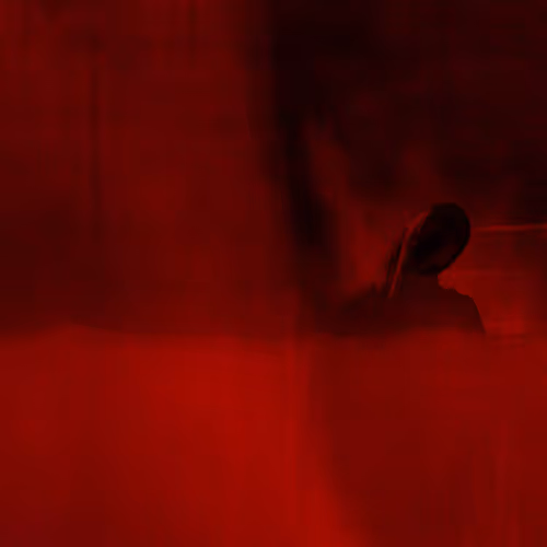 Vermillion Visions